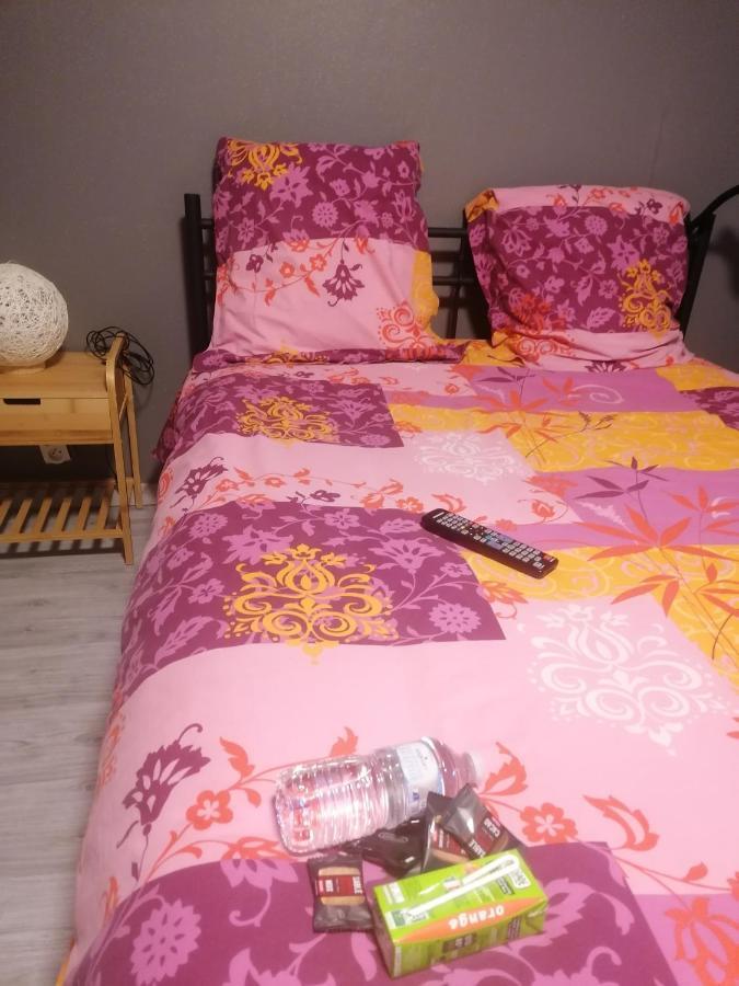 Chambres Dans Maison Familiale Saint-Girons  Bagian luar foto